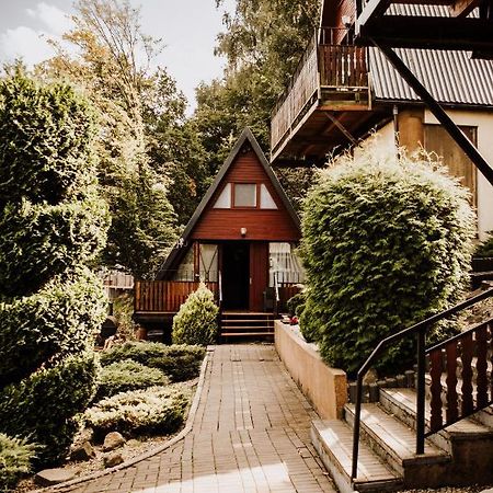 Domki Lord Villa Miedzybrodzie Bialskie Ngoại thất bức ảnh