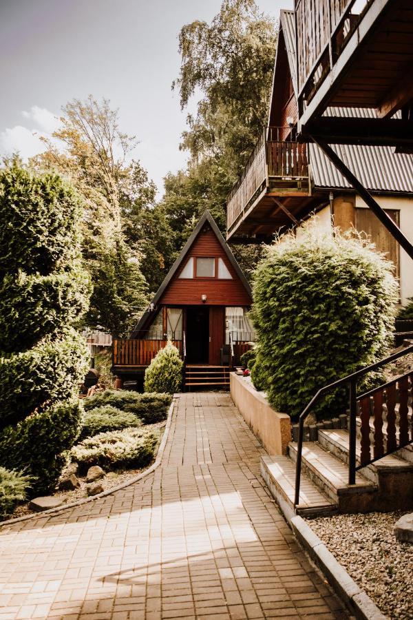 Domki Lord Villa Miedzybrodzie Bialskie Ngoại thất bức ảnh
